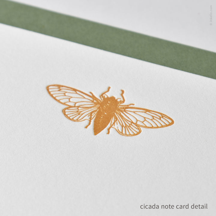 Flat Note Card Set with Cicada (