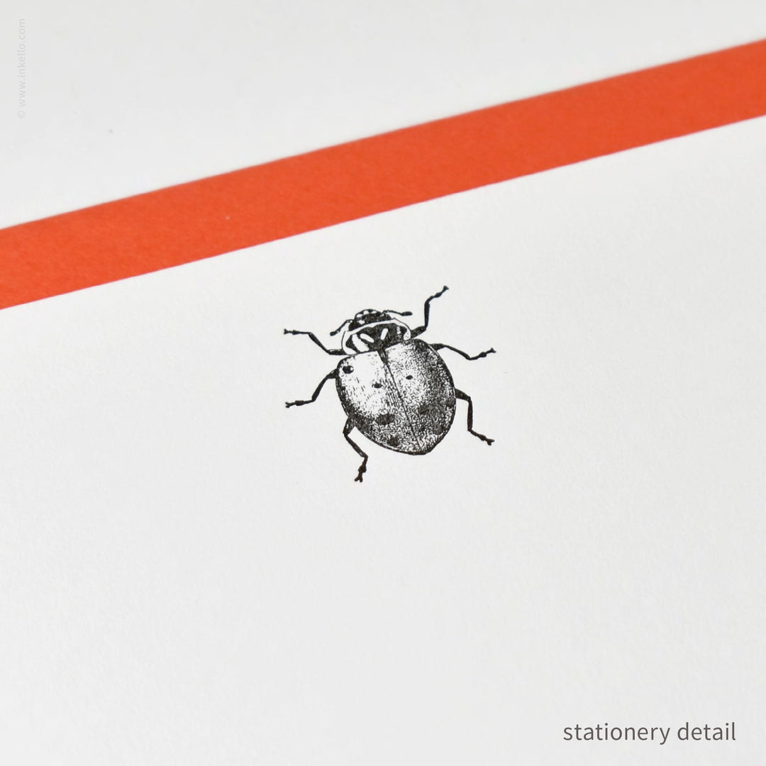 Stationery Set with Black Ladybug (