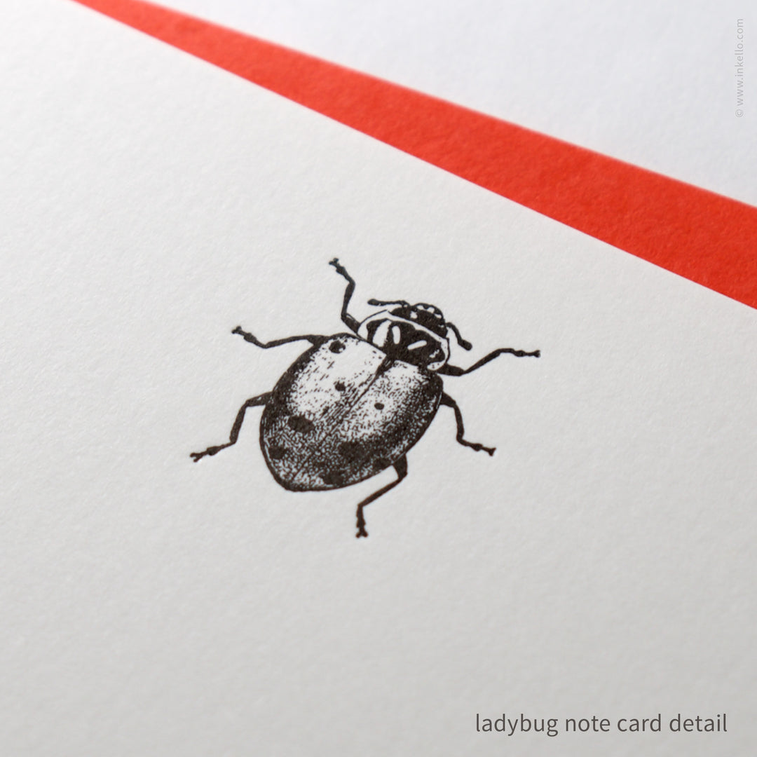 Flat Note Card Set with Black Ladybug (